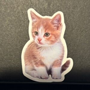 ORANGE/ WHITE CAT STICKER